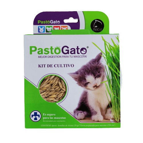 1 Unidad - Pasto Gato / Happy Cat